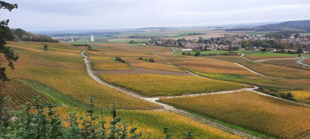 Vue sur le vignoble d'Hermonville en automne