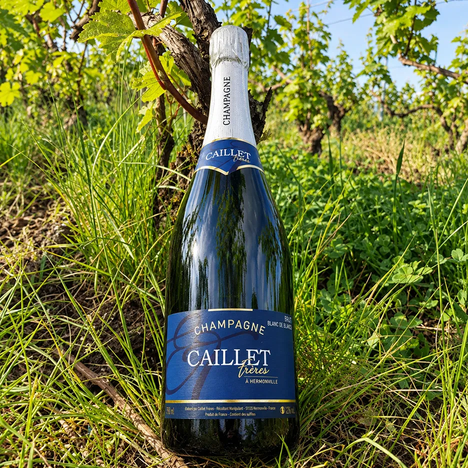 Bouteille de champagne Caillet Frères Brut Blanc de Blancs dans les vignes