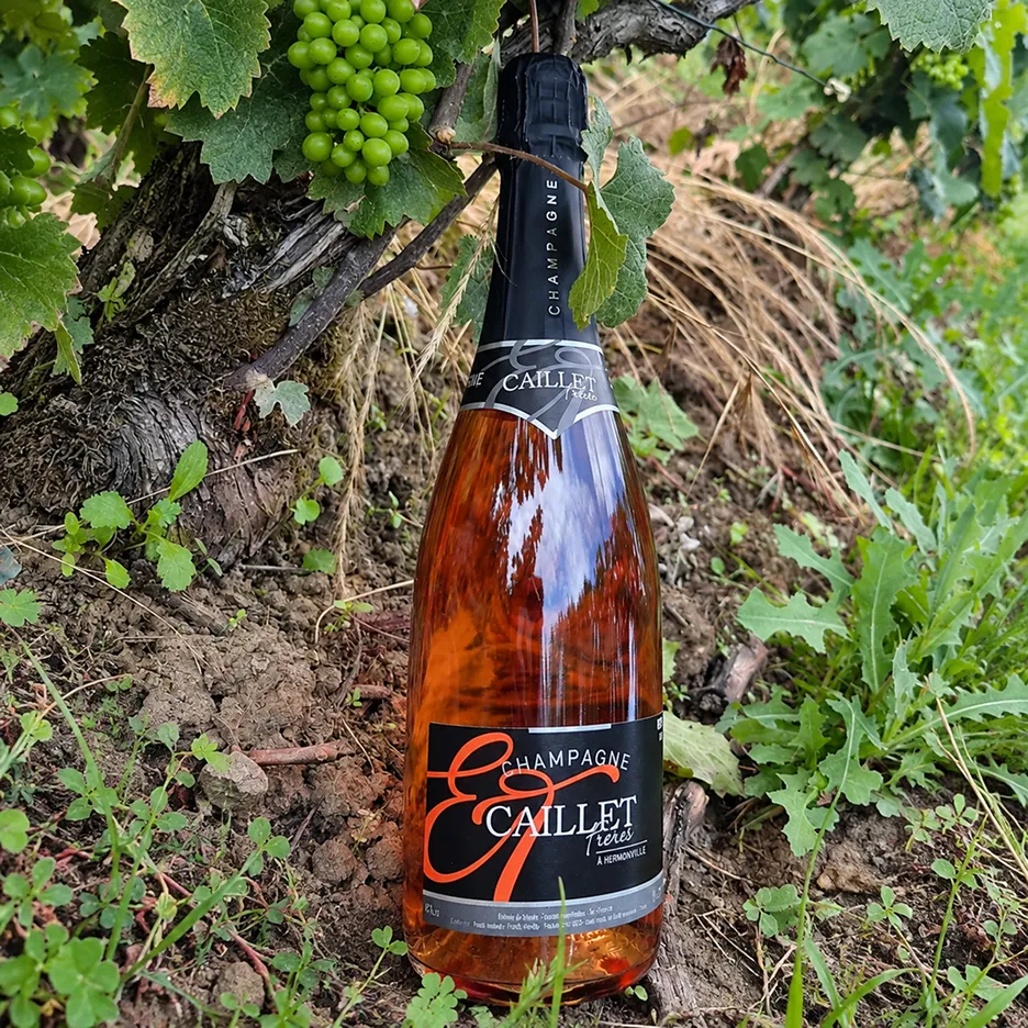 Bouteille de champagne Caillet Frères Brut Rosé au pied d'une vigne